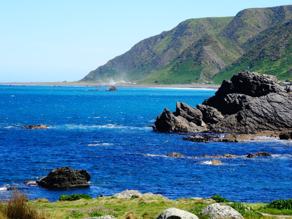 Océanie - Les pattounes vagabondes