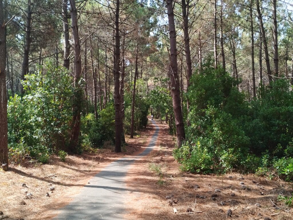 pistes cyclable vélodysée