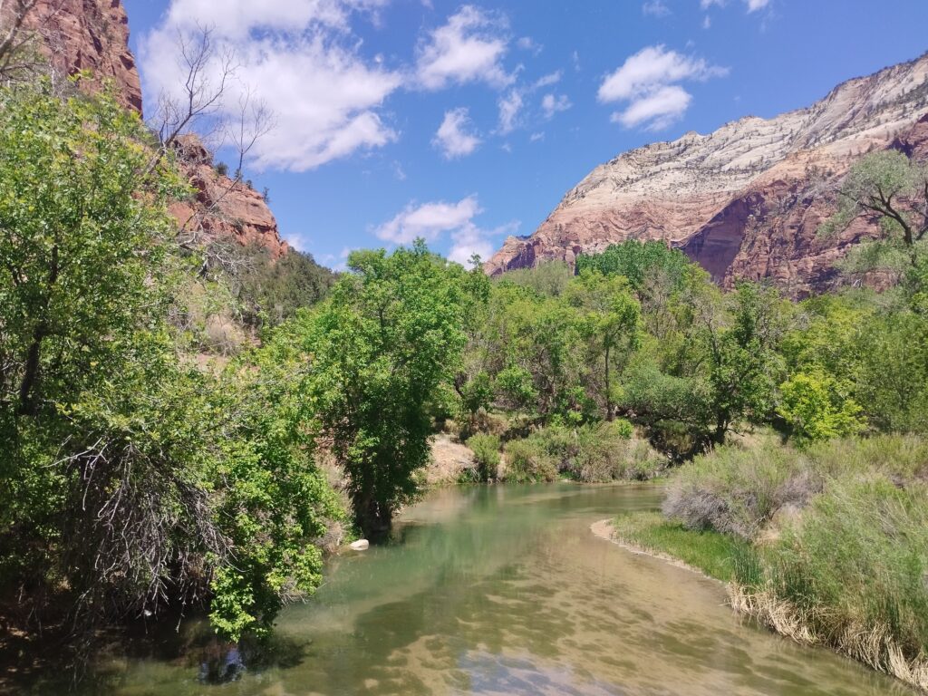 Zion USA